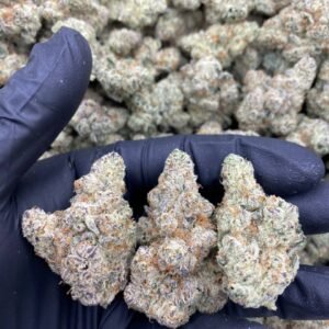 Blueberry Slushie weed strain