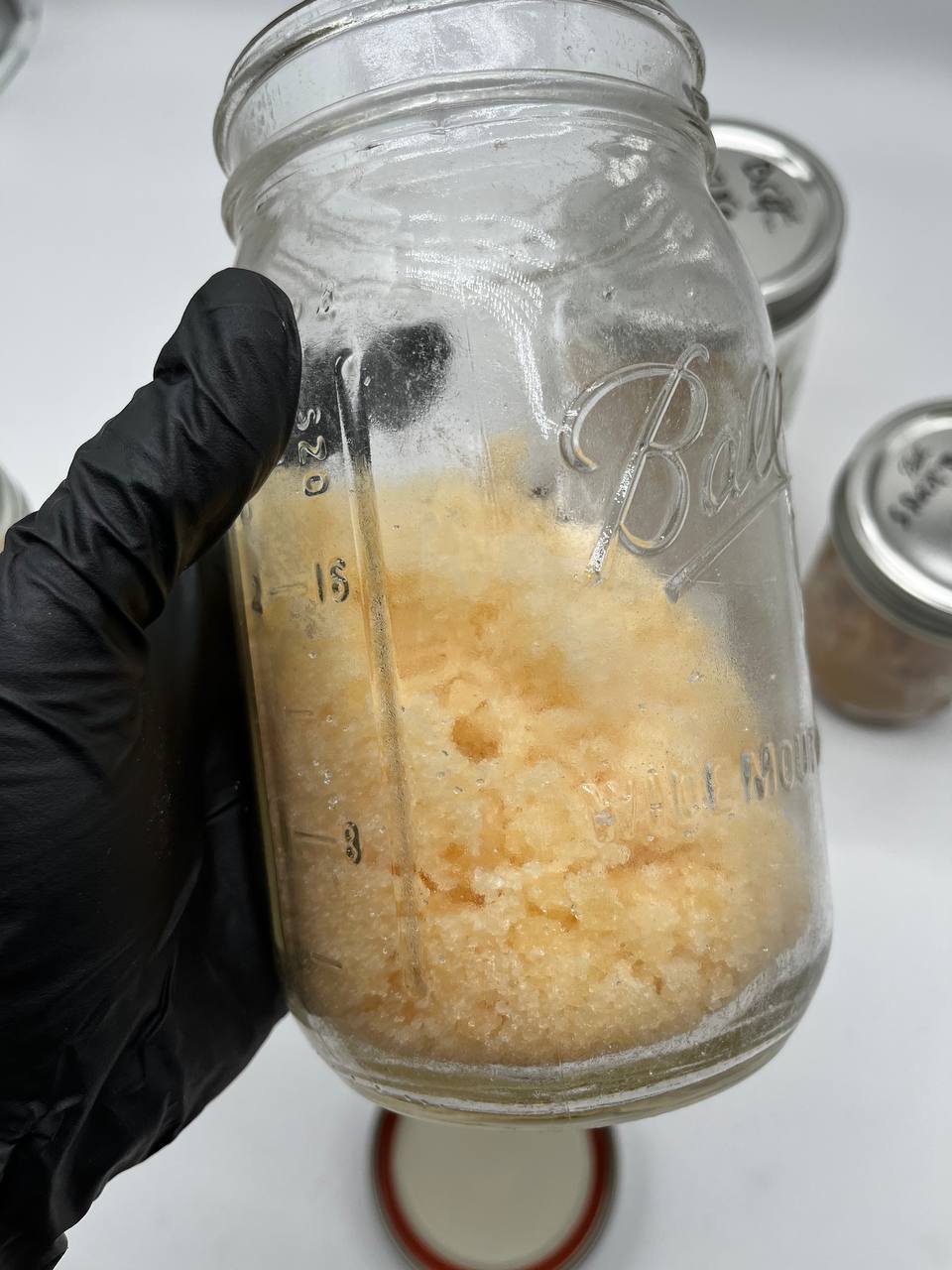 Licensed Crumble Concentrates