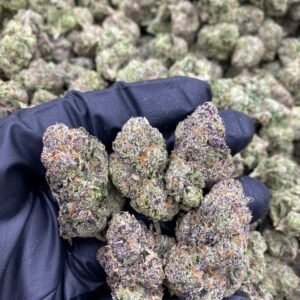 Crypto Candy weed strain