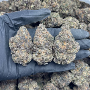 Guava Runtz weed strain