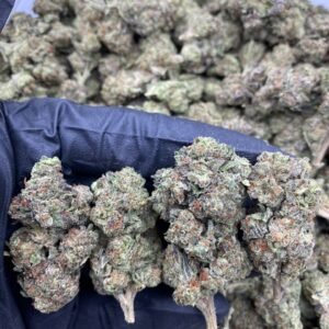 Ice Cream Sandwich weed strain