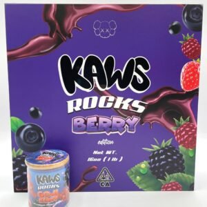 KAWS Moonrocks Berry Edition