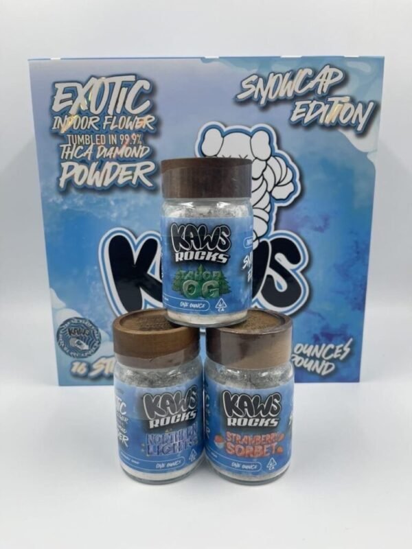 KAWS MoonRocks Snowcaps Edition - Image 5