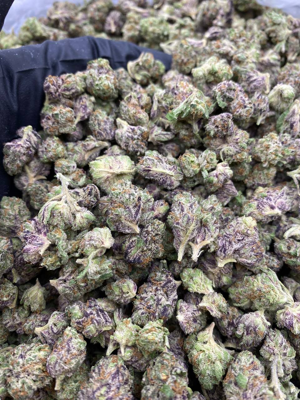 Kept Secret Smalls strain