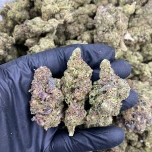 LA Kush Cake weed strain