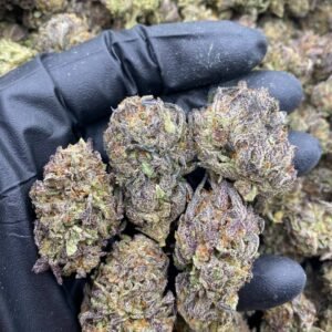 London Purpz weed strain