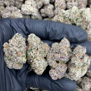 Purple Starburst weed strain
