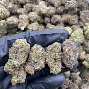Reckless Runtz weed strain