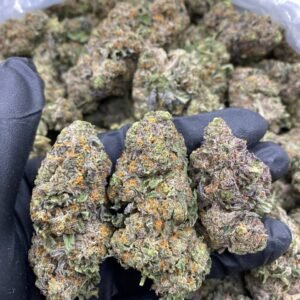 trawberry Push Pop weed strain
