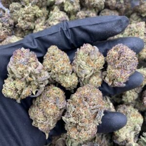 Berry Cheesecake weed strain